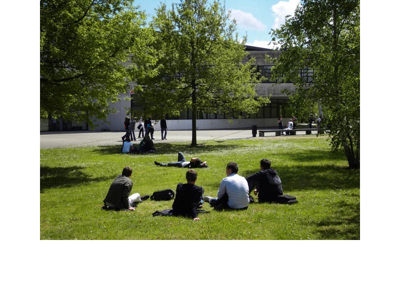 EspÃ¨ces d'humains au repos.